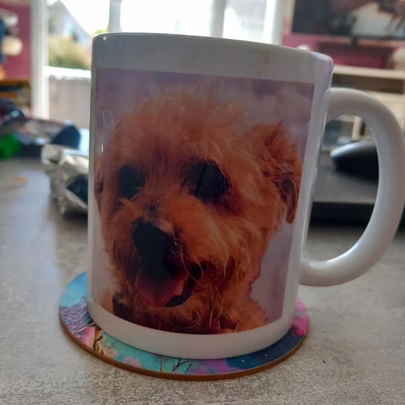 Custom white mug with full-wrap fluffy golden dog photo printed on it