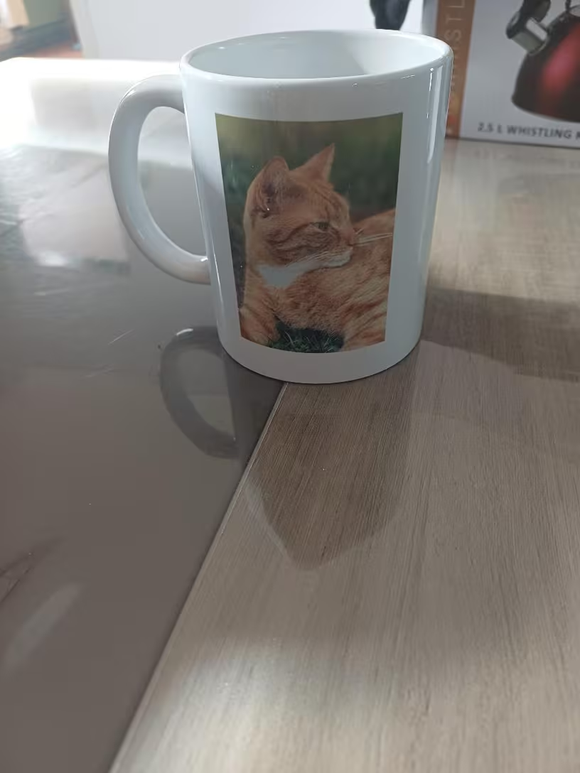 Custom white ceramic mug with ginger cat photo printed on it